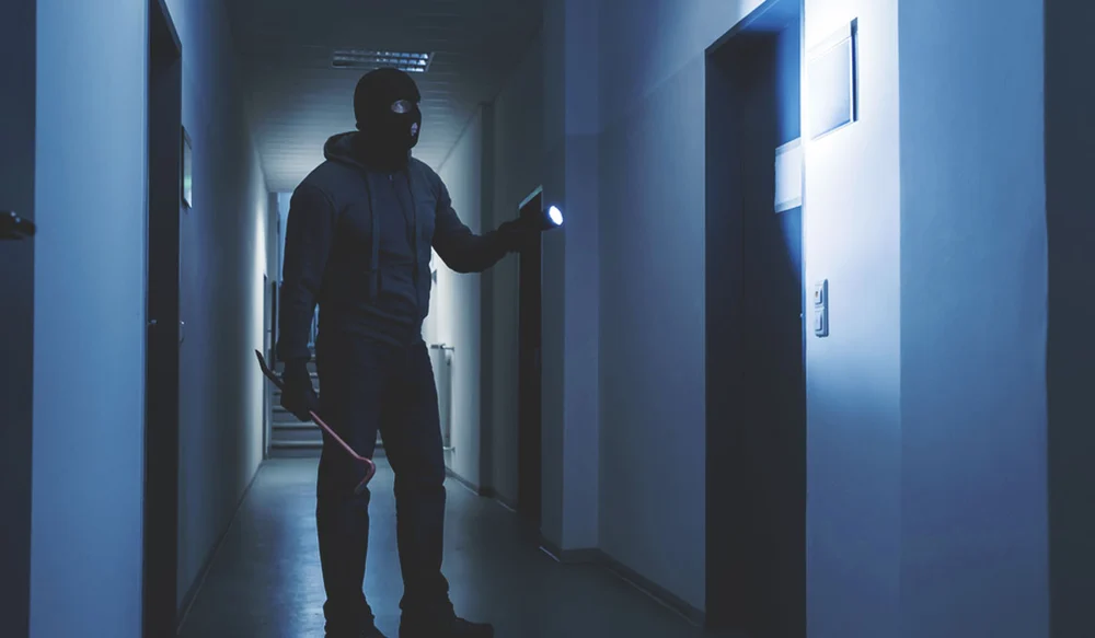 Burglar Alarm System